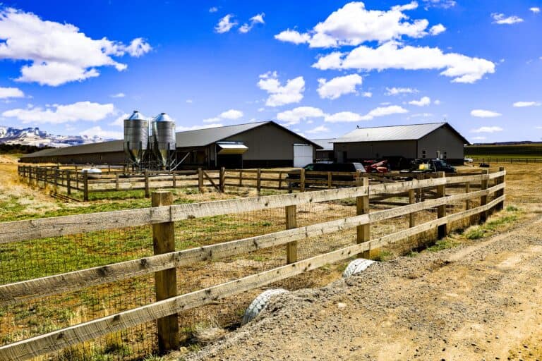 Western Colorado Real Estate