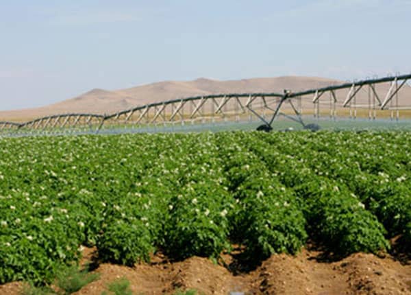 farm