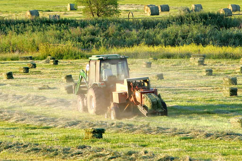 colorado ranch