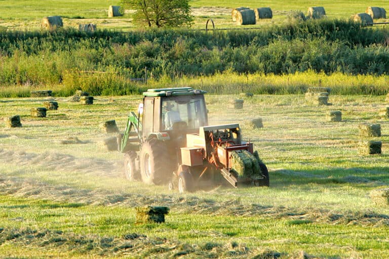 colorado ranch