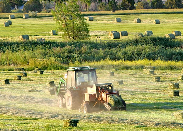 baling hay