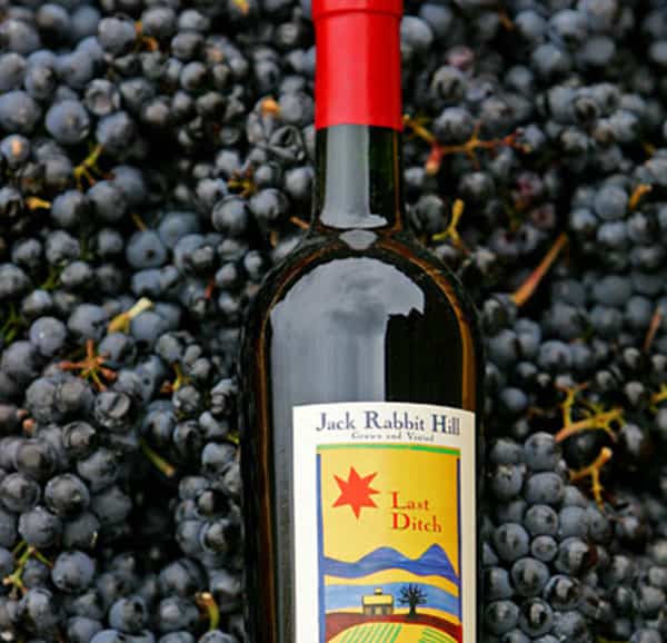 bottle grapes