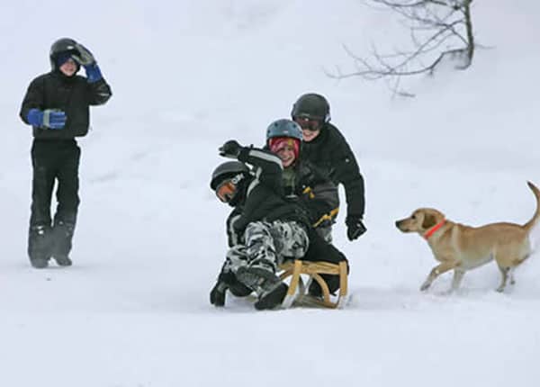 sledding