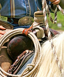 champion buckle