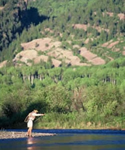 fly fish