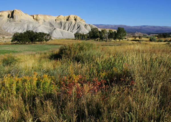 creek bottom