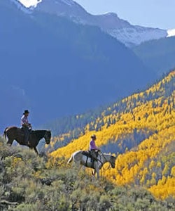horseback riding