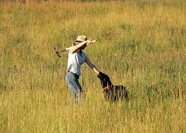 Irrigating