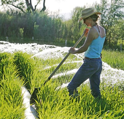 gated pipe irrigation system
