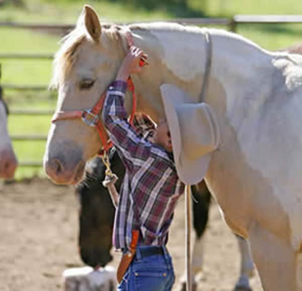 expert horseman