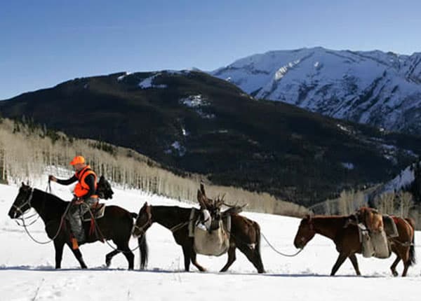 elk hunting