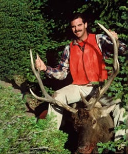 elk