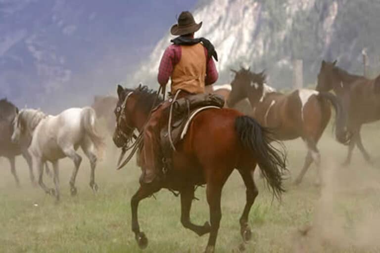 Dude & Guest Ranches For Sale