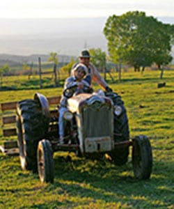 old tractor
