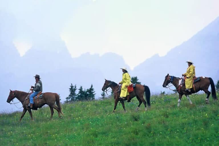 rainy riders