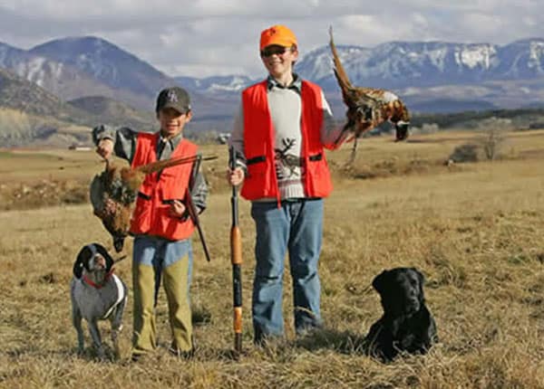 bird hunting