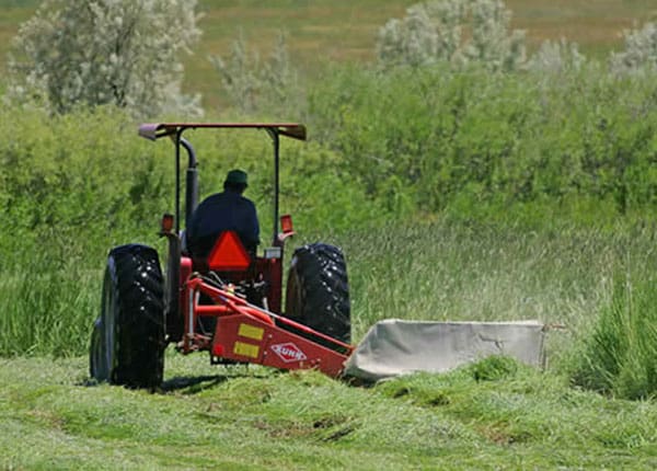 rotary mower