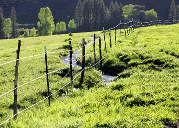 Colorado mountain ditch irrigating
