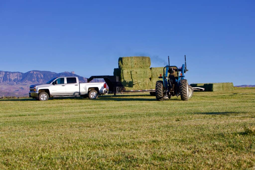 Rural Lifestyle