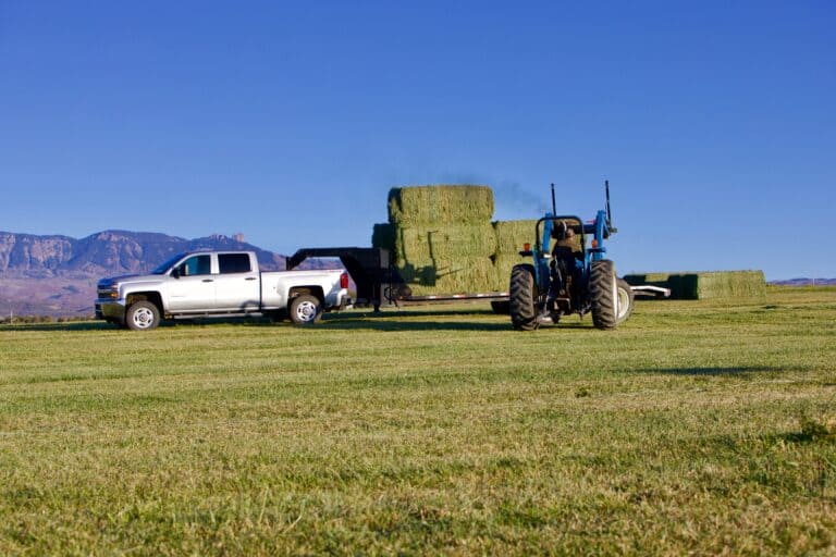 Rural Lifestyle
