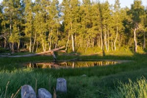 Buckhorn Lakes Ranch watering hole