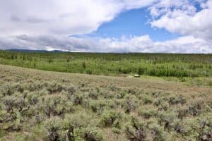 160 acre hunting property GMU 67