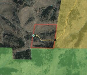 Gunnison 160 acre hunting property