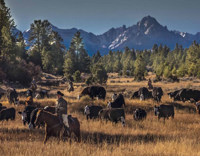 colorado unusual and complex properties